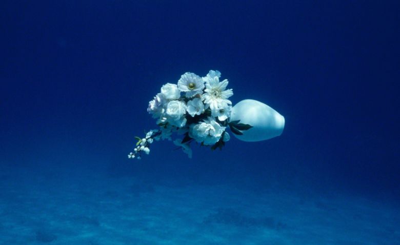 DIVINGIMAGE